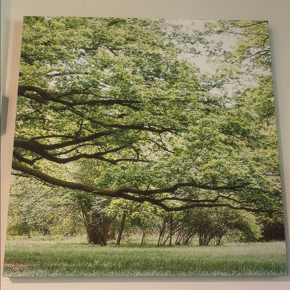 Large 2’x2’ Nature Canvas Wall Art with Branch Entering Canvas From Left
